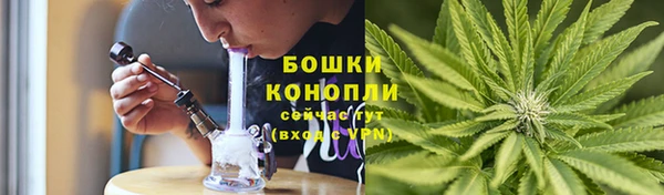 MESCALINE Белокуриха